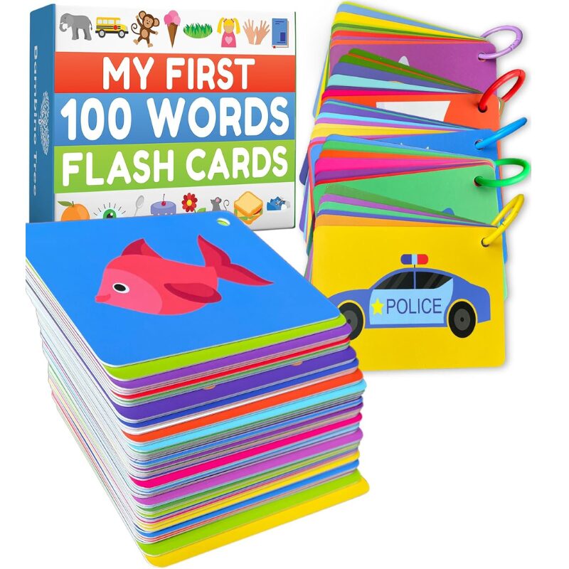 First words board books or speech practice cards